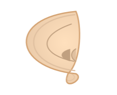 EarDraw: Interactive Ear Shape Simulator