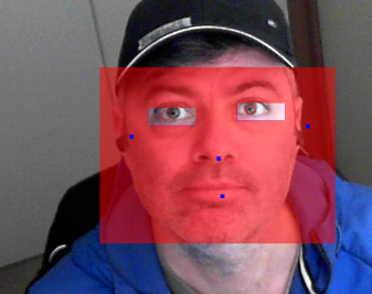 Webcam Eye Tracking System