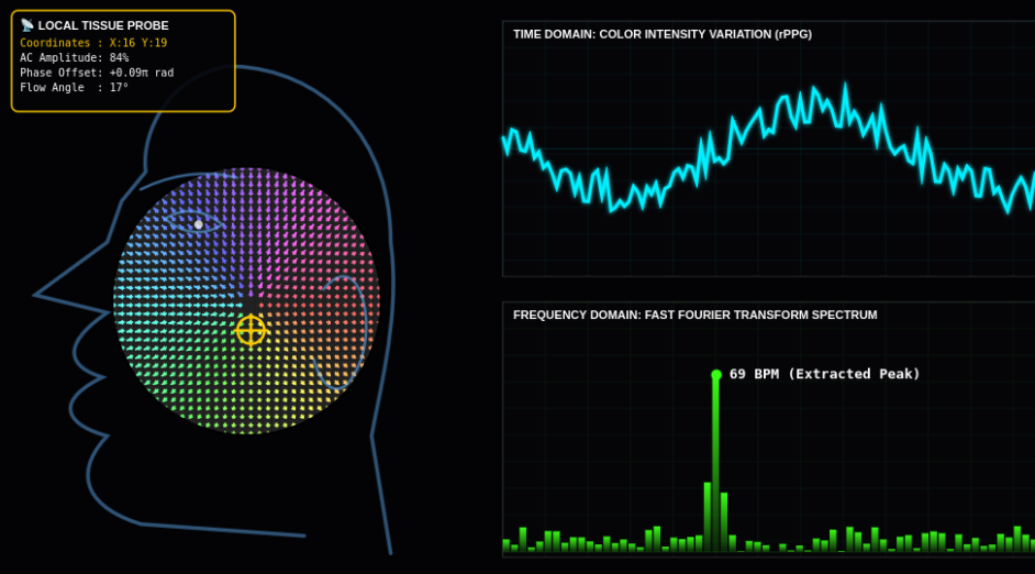 Eulerian Biometric Signal & Flow Analyzer