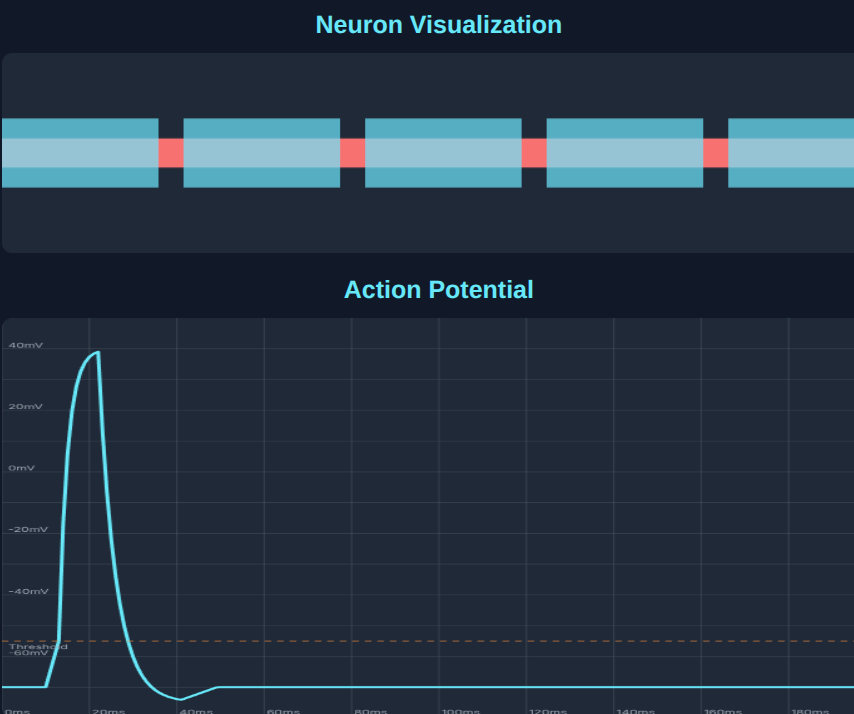 Action Potential Architect - Interactive Neuron Simulation