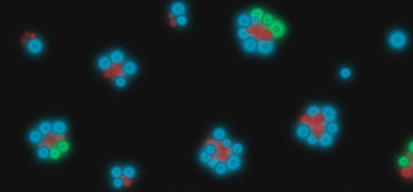 In-Silico Organoid Simulator