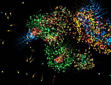 Interactive Particle Life Simulation - Emergent Artificial Life Sandbox