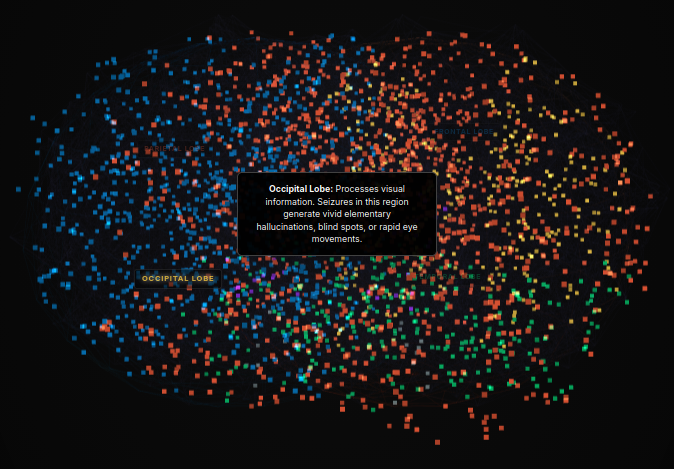 Brain Seizure Simulation | Interactive Biophysics & Live 3D EEG