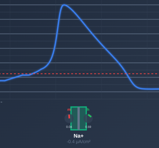 Hodgkin-Huxley Action Potential Simulation