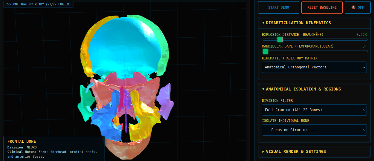 Beauchêne Exploded Skull Simulator - Interactive Cranial Anatomy Laboratory