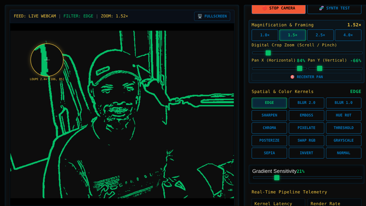 Webcam Filters & Real-Time Video Effects - Interactive Laboratory