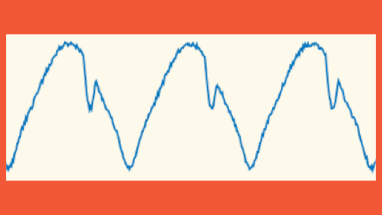 PulseViz - Heart Rate Visualization